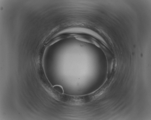 X0000081450260200701121239