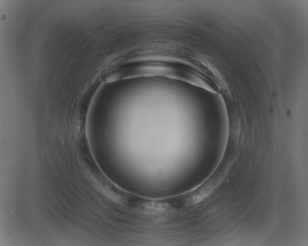 X0000081450261200701121239