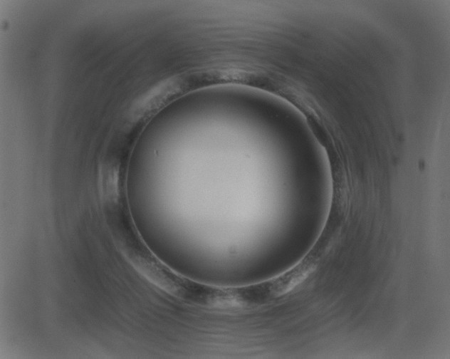 X0000081450262200701121239