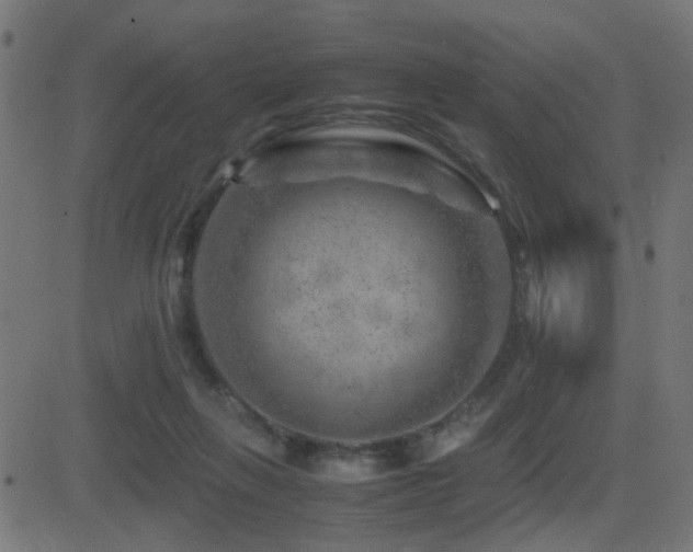 X0000081450263200701121239