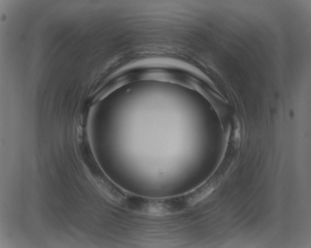 X0000081450264200701121239