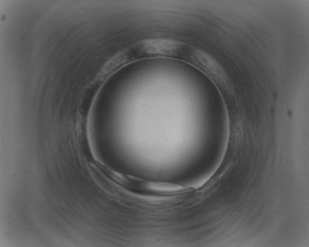 X0000081450265200701121239