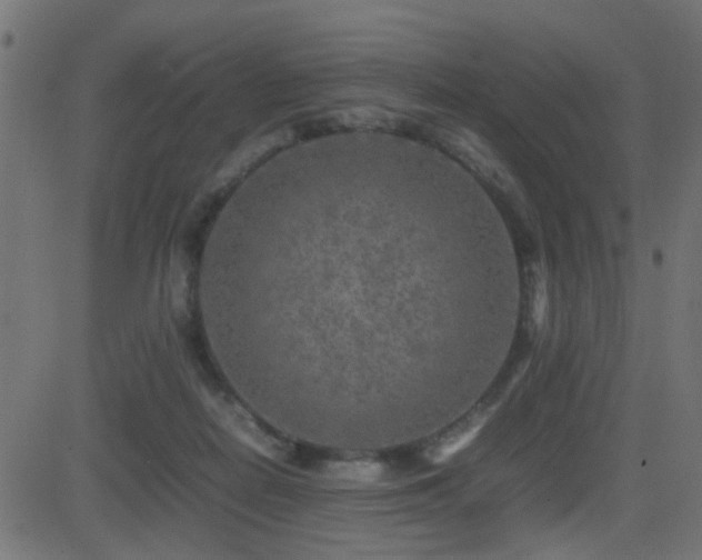 X0000081450266200701121239