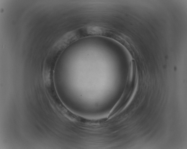 X0000081450267200701121239