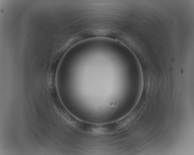 X0000081450268200701121239