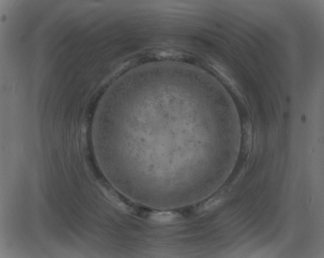 X0000081450269200701121239