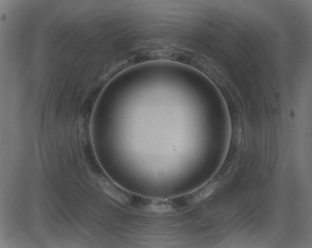 X0000081450270200701121239