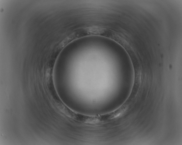 X0000081450271200701121239