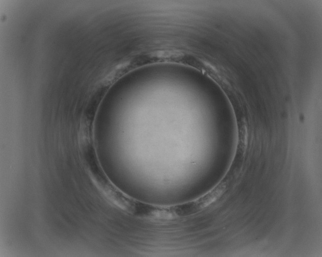 X0000081450272200701121239