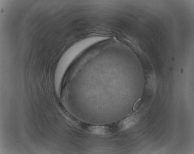 X0000081450273200701121239