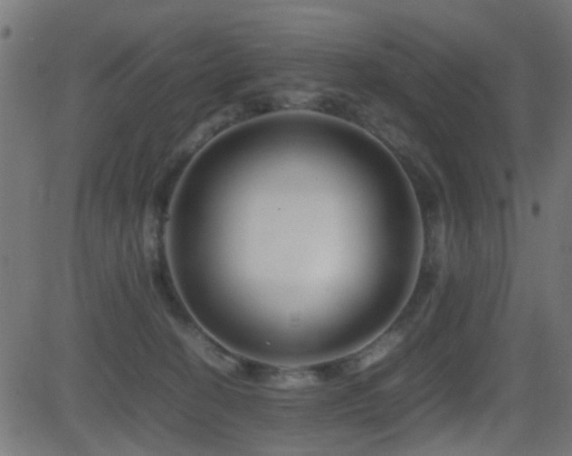 X0000081450274200701121239