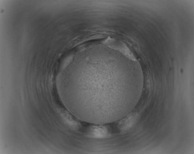 X0000081450275200701121239