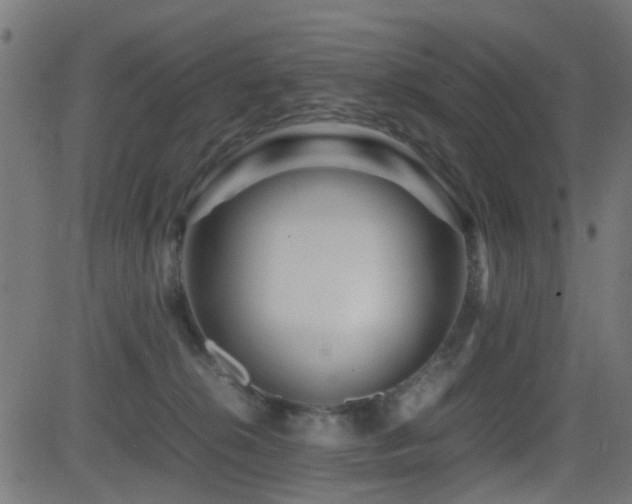 X0000081450276200701121239