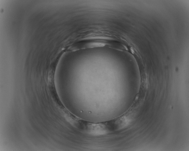 X0000081450277200701121239