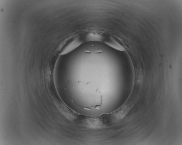 X0000081450279200701121239