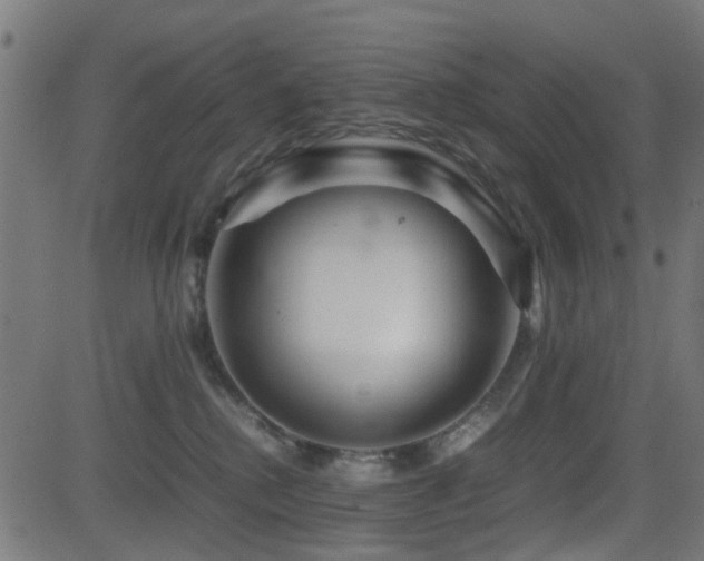 X0000081450280200701121239