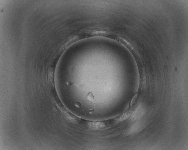 X0000081450281200701121239