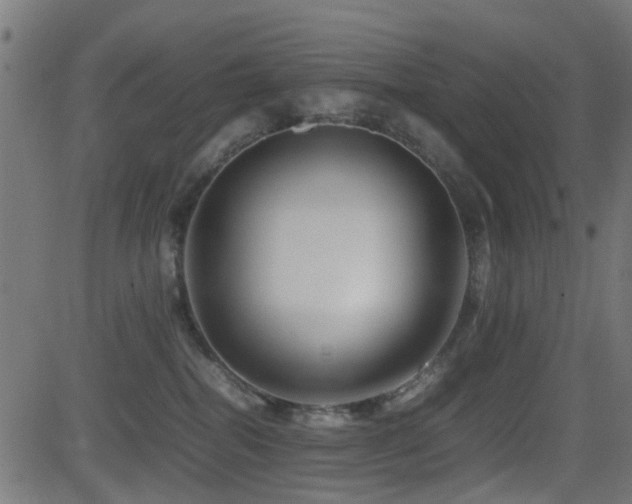 X0000081450282200701121239