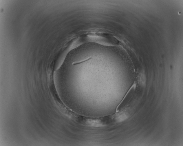 X0000081450283200701121240