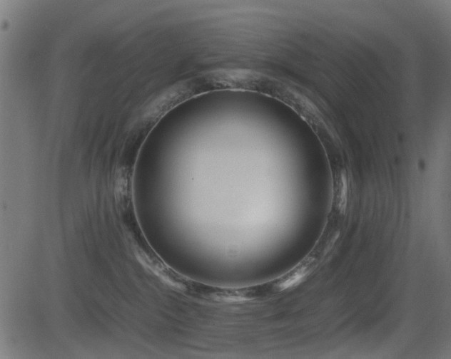 X0000081450284200701121240