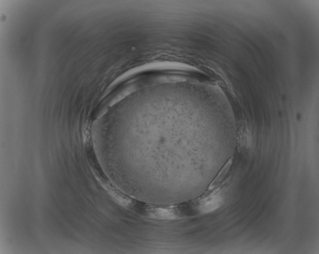 X0000081450285200701121240