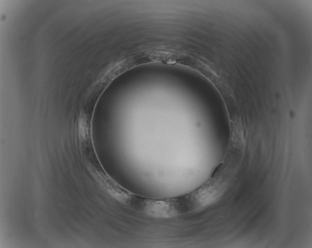 X0000081450287200701121240