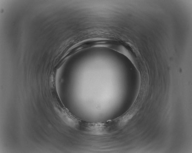 X0000081450288200701121240