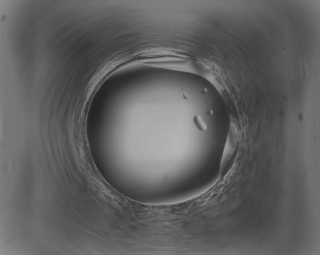 X0000081450289200701121239