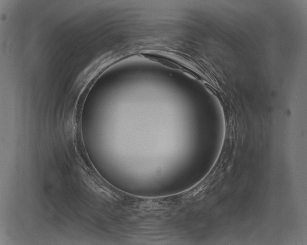 X0000081450290200701121239