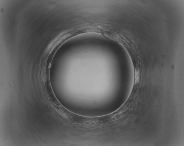 X0000081450291200701121239