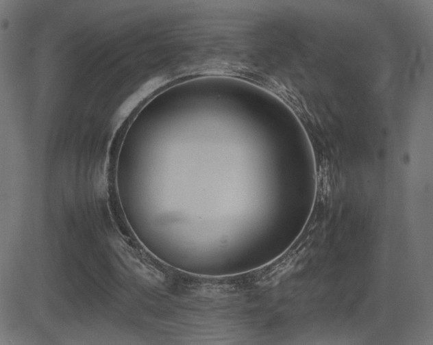 X0000081450292200701121239