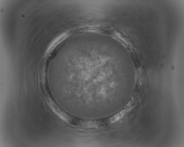 X0000081450293200701121239