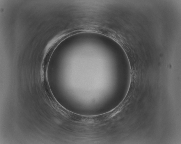 X0000081450294200701121239