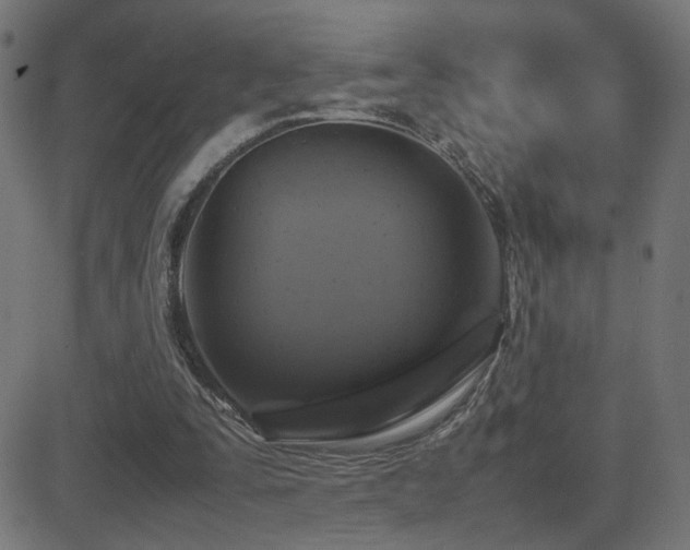 X0000081450295200701121239