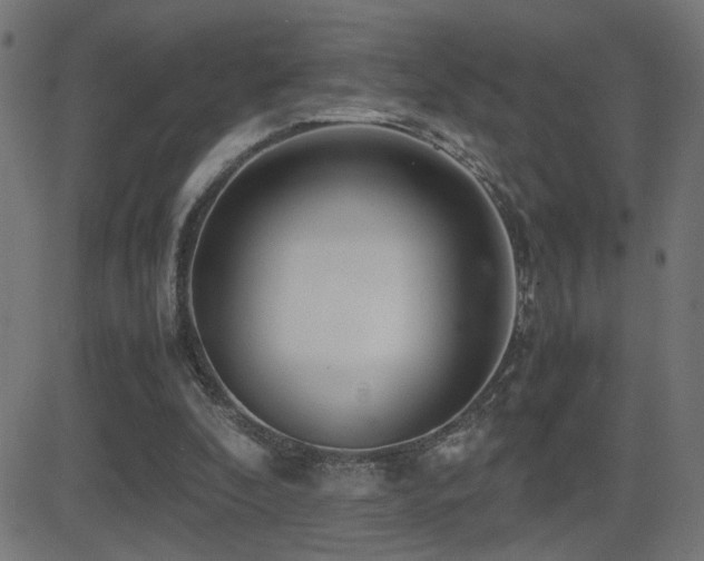 X0000081450296200701121239