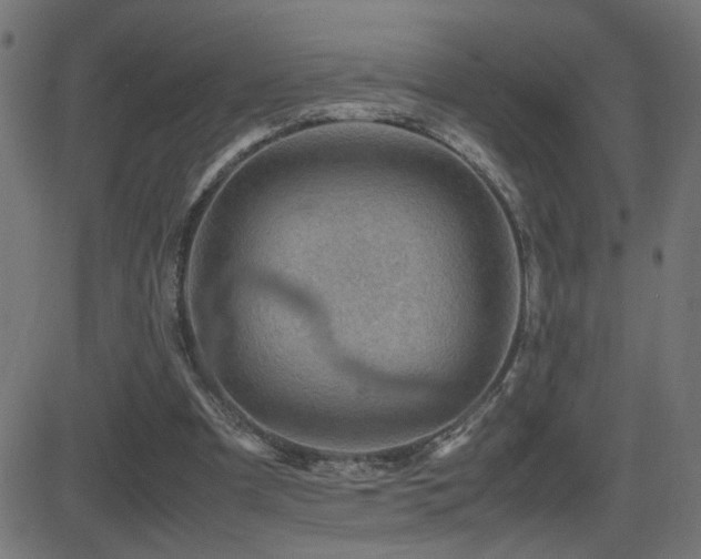 X0000081450297200701121239