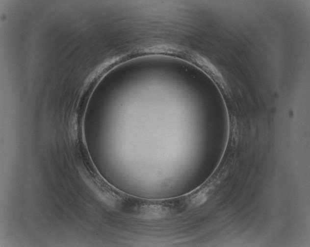 X0000081450298200701121239