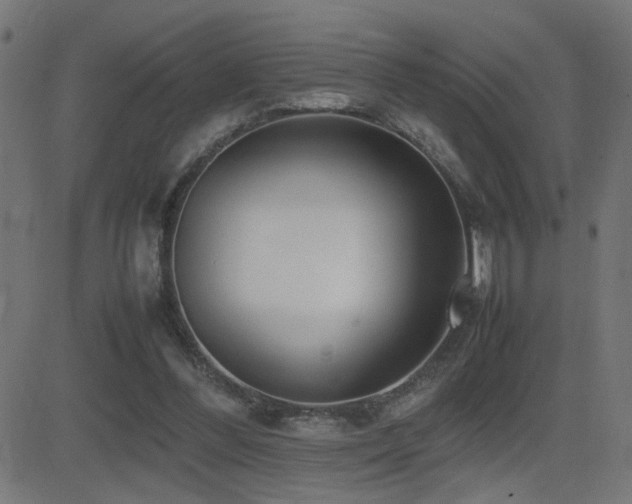 X0000081450300200701121239