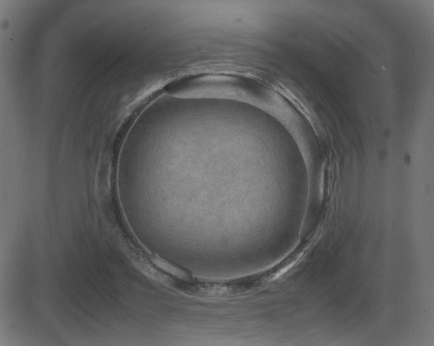 X0000081450301200701121239