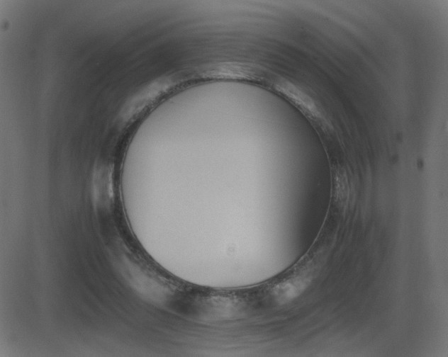 X0000081450302200701121239