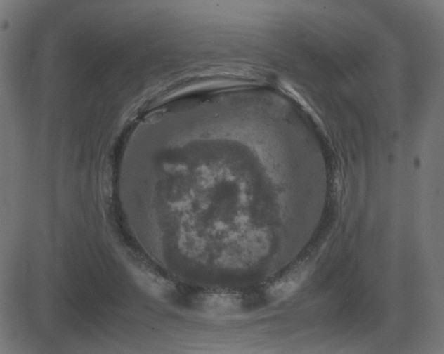 X0000081450303200701121239