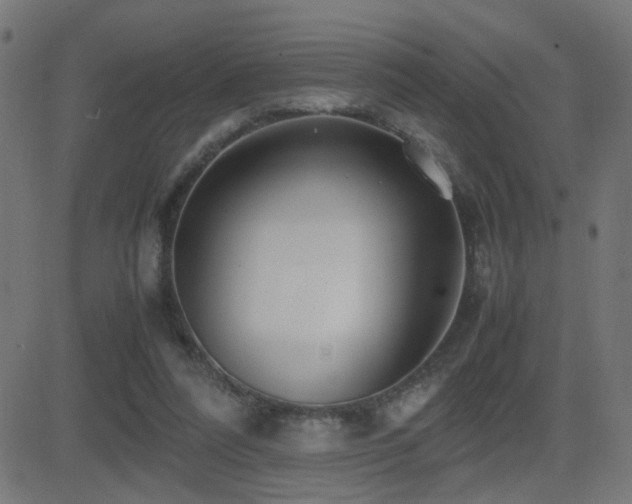 X0000081450304200701121239