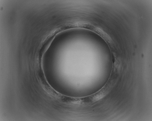 X0000081450306200701121238