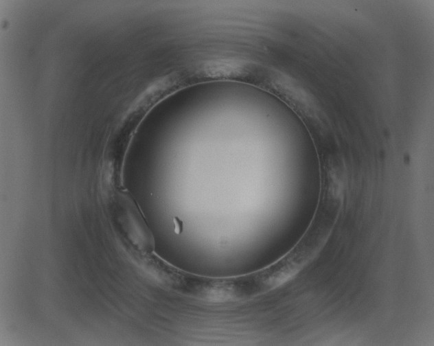 X0000081450308200701121238