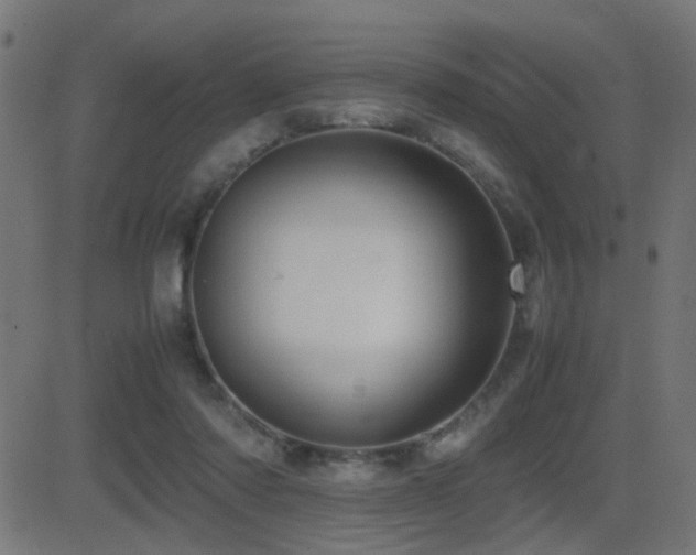 X0000081450310200701121238