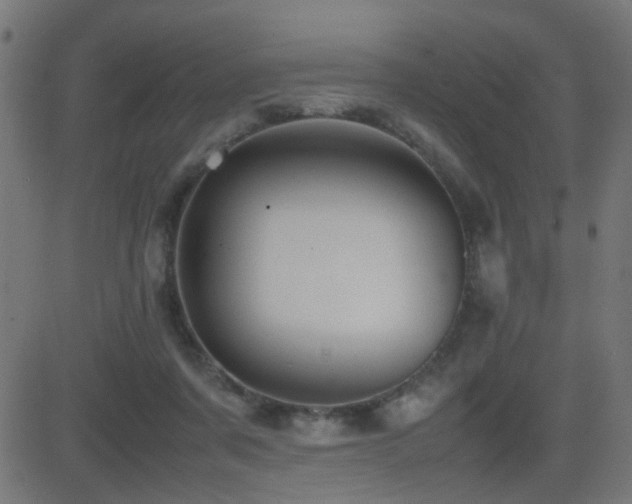 X0000081450311200701121238