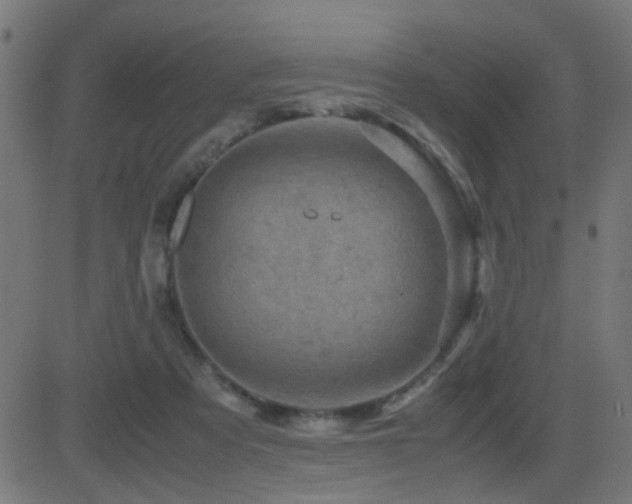 X0000081450313200701121238