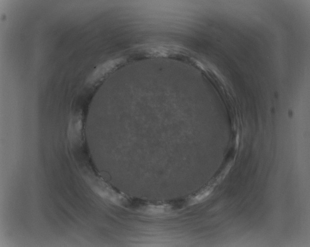 X0000081450314200701121238