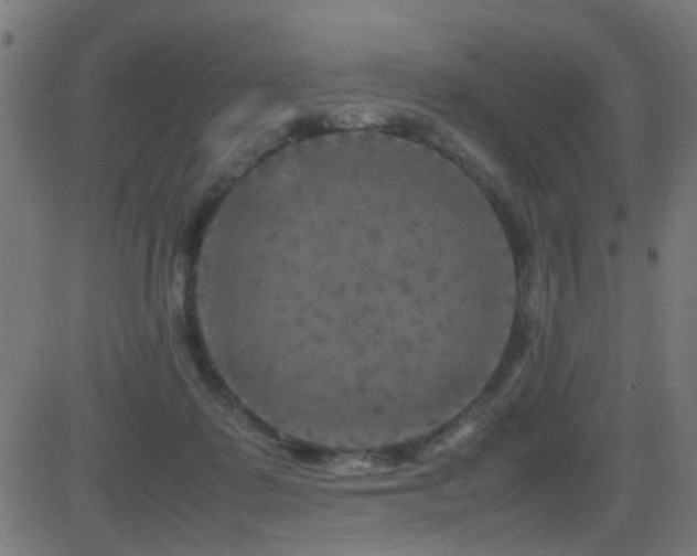 X0000081450315200701121238