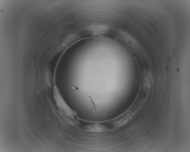 X0000081450316200701121238